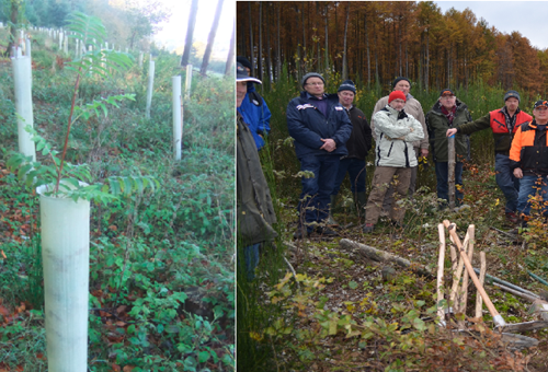 Pflanzlehrgang am 09.11.2024