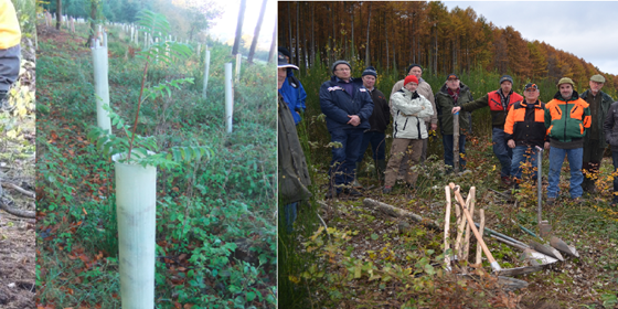 Pflanzlehrgang am 09.11.2024